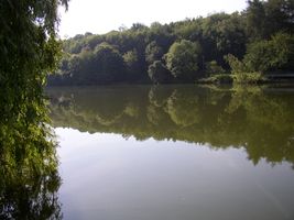 Šárecký potok 2-ú.n.Džbán 3.6.05 (1).jpg